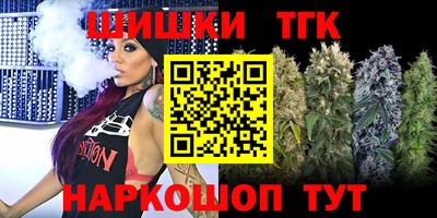 индика Славгород