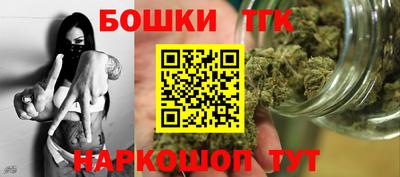 индика Славгород