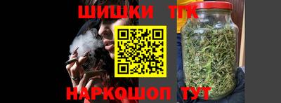 индика Славгород