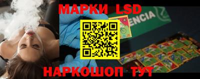 индика Славгород