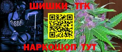 тгк Сланцы