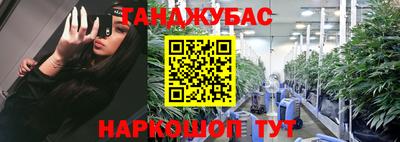 индика Славгород