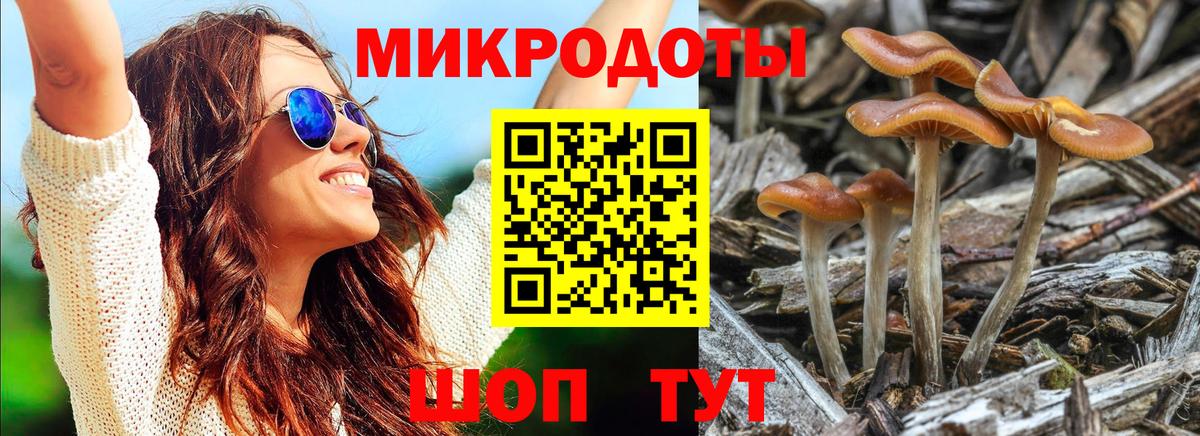 Галлюциногенные грибы GOLDEN TEACHER  Вход с VPN  Сатка 